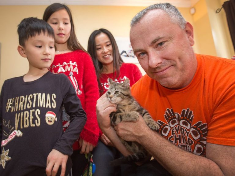 Kitten delivery: Humane Society brings pets to forever homes for the holidays | Ottawa Citizen