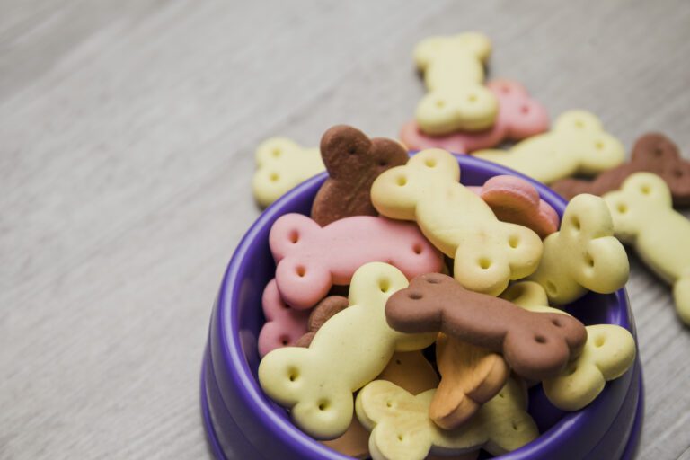 How to Open a Pet Treat Bakery: From Passion to Profitable Brand